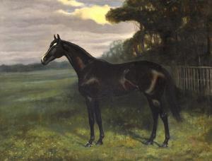 RUSSELL GAWEN Mark 1861-1943,Study of a Colonial Stallion,1907,Elder Fine Art AU 2018-11-18