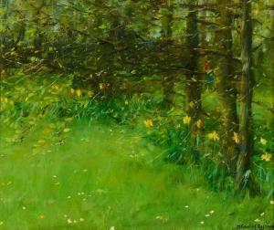 RYAN Thomas 1929-2021,DAFFODILS UNDER TREES,1983,Whyte's IE 2024-03-25