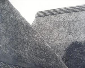 RYOHEO Tunachi 1900-1900,Tanaka Roofs,Litchfield US 2007-12-05