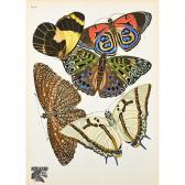 SÉGUY Eugene Alain 1890-1985,Papillons,1924,Rago Arts and Auction Center US 2014-11-15