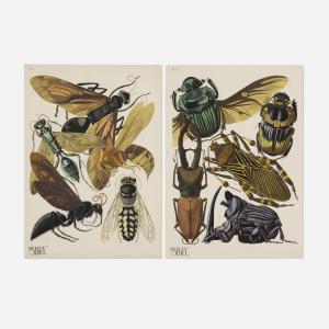 SÉGUY Eugene Alain 1890-1985,Two works from the Insects portfolio,1928,Wright US 2023-05-04