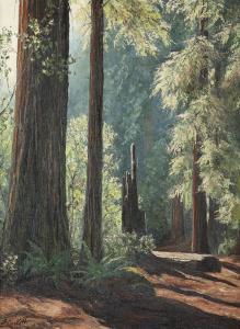 Sackett Florence 1927,Redwood forest,John Moran Auctioneers US 2018-10-23
