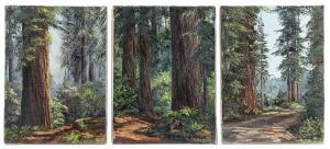 Sackett Florence 1927,Redwoods,John Moran Auctioneers US 2018-10-23