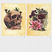 SADDO 1981,The Skull, Funerary Flowers,2015,Artmark RO 2015-07-08