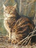 SAFRAN Bernard 1924-1995,Wild Cat Illustration,Burchard US 2007-11-17