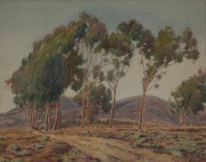 SAINT CLAIR Norman 1863-1912,Eucalyptus Laguna,Copley US 2013-07-30