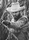 SALAS Osvaldo 1914-1992,Fidel Castro cutting Sugar Cane,1967,Bloomsbury London GB 2013-05-17