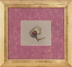 SALTONSTALL Elizabeth 1900-1990,Still life of a chestnut,Eldred's US 2015-07-31