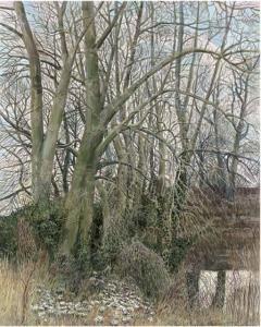 SANDERSON C.J,Spring,1984,Christie's GB 2006-03-22