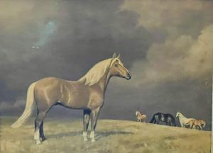 SANDYS LUMSDAINE Leesa,a Palomino horse looking on to mates in the field,Hansons 2022-02-28