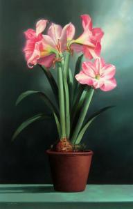 SANTOS Victor 1934-2003,Amaryllis,Westbridge CA 2020-12-05