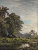 SANZ CARTA Valentín 1850-1898,Paisaje con malangas,1882,Christie's GB 2007-05-31