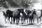 SANZ Demetrio 1900-1900,Tropel de caballos,Duran Subastas ES 2009-02-23