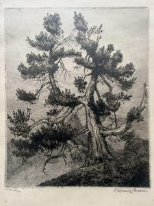 SARAZIN Regnault 1886-1943,Arbre,1923,Daguerre FR 2023-01-29