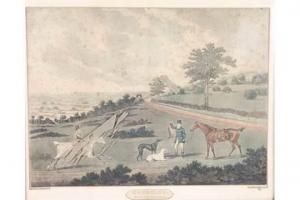 SARTORIUS S N,Coursing, view of Lord Ardens Epsom and View of Ep,Denhams GB 2015-10-21