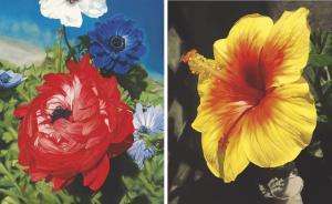 SATOSHI FURUI 1959,Flowering: Red Anemone; & Flowering: Hibiscus,2005,Christie's GB 2012-05-27
