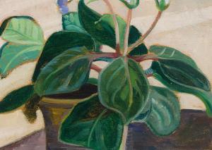 SAVAGE Anne Douglas 1896-1971,Gloxinia,Heffel CA 2023-11-30