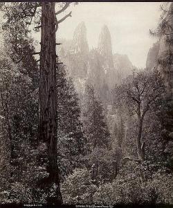 SAVAGE Charles Roscoe 1832-1909,Cathedral Spires, Yosemite Valley, Californ,c.1880,Galerie Bassenge 2015-12-02