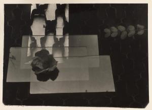SCHÜRMANN Herbert,Rosen auf Glasscheiben und Gittern (Roses on glass,1933,Bonhams 2023-02-08