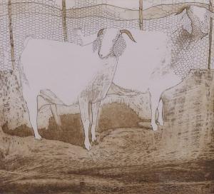 Schady Elsabe Karen 1927-2012,Jansenville Goats,1975,5th Avenue Auctioneers ZA 2023-02-19