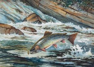 SCHALDACH William J 1886,Leaping Brook Trout,Copley US 2014-07-25