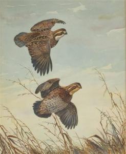 SCHALDACH William Joseph 1896-1982,Flying Quail Pair,1938,Copley US 2022-07-14