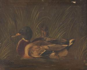 SCHEUERER Julius 1859-1913,Two ducks,Hargesheimer Kunstauktionen DE 2022-09-07