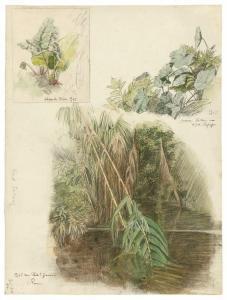SCHICK Rudolf 1787-1840,Pflanzenstudien aus Italien,1862/67,Villa Grisebach DE 2018-10-25