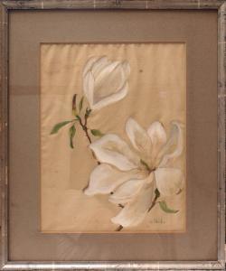 SCHICKFUS V 1900-1900,Blühende Magnolienzweig,Bloss DE 2015-07-06