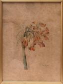 SCHICKFUS V 1900-1900,Glyzinienblüte,Bloss DE 2015-07-06