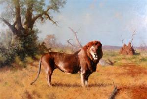 SCHINGLER H,A lion in a landscape,John Nicholson GB 2008-11-21