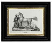 SCHINZ HENRICH RUDOLF,Twelve Equestrian Studies,1840,Christie's GB 2011-01-25