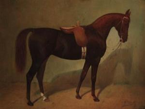 SCHLEGEL Hans 1800-1900,A liver chestnut saddled up in a loosebox,Christie's GB 1999-11-26
