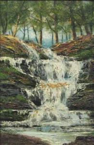 SCHLOTT C W 1900-1900,Waterfall,1921,Concept Gallery US 2008-04-12