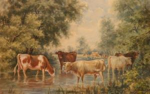 Schluter Richard,Cows in Stream,20th,Rachel Davis US 2018-02-10
