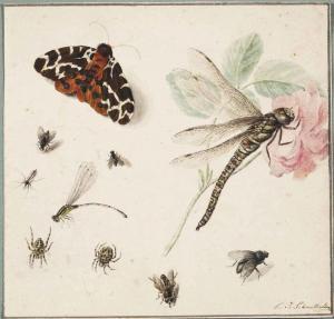 SCHMETTERLING Christiana Josepha 1796-1840,A Tiger-moth,Christie's GB 2014-12-10