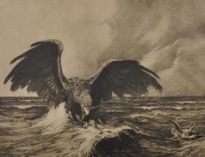 SCHMIDT Hans 1877,An Eagle Catching Prey,John Nicholson GB 2018-09-05