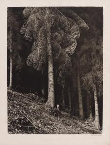 SCHMIEDING Rolf 1921-2007,Spruce forest,1950,Van Ham DE 2011-06-10
