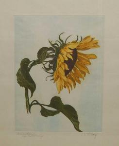 SCHOLZ J.W,"Sonnenblumen",Neumeister DE 2011-02-09