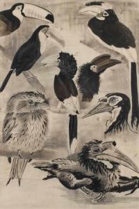SCHRÖDER Friedrich Wilhelm,Sonderbare Vögel Arrangement aus acht verschiedene,Mehlis 2019-08-22