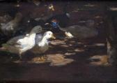 SCHRAMM ZITTAU Rudolf 1874-1950,Ducks in the shade,Peter Karbstein DE 2020-03-14