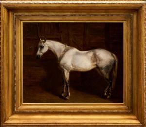 SCHREIBER Charlotte Mount B 1834-1922,A Grey Hunter in a stable,Reeman Dansie GB 2019-02-12