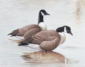 SCHROEDER JACK R,CANADIAN GEESE,Potomack US 2011-09-24