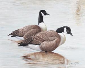 SCHROEDER JACK R,CANADIAN GEESE,Potomack US 2011-09-24