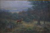 SCHURMANN Fritz 1863,Stag and deer in forest glen,Andrew Smith and Son GB 2016-04-03