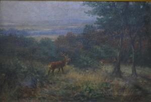 SCHURMANN Fritz 1863,Stag and deer in forest glen,Andrew Smith and Son GB 2016-03-22