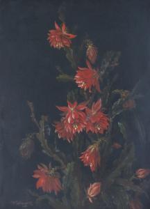 Schwanck Wilhelmine 1844-1908,Flowering cactus,1981,Antonija LV 2019-06-03