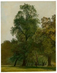 SCHWEMMINGER Josef 1804-1895,Bäume im Wiener Prater,1840,Villa Grisebach DE 2018-05-30