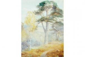 SCOTT HAY R.R 1900-1900,Old Scotch Fir,The Cotswold Auction Company GB 2015-05-15