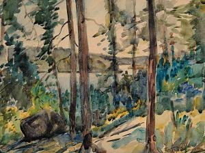 SCOTT James Fraser 1878-1932,The Burnt Hill, Lake Macara,Levis CA 2007-11-18